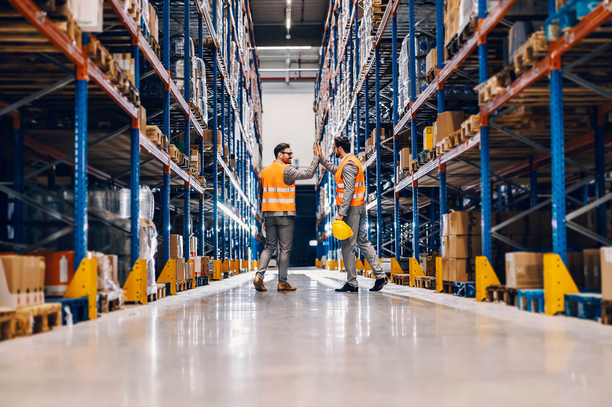 Warehouse Management System (WMS) Implementation Guide | Softeon